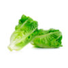 Cogollos Europeos <br> <span class=