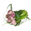 Ajo Criollo<br><span class=