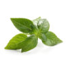 Albahaca<br><span class=