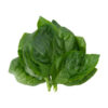 Espinaca<br><span class=