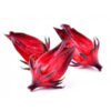 Flor de Jamaica<br><span class=