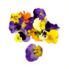 Flores Comestibles <br> <span class=