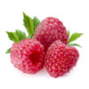 Frambuesa<br><span class=