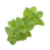Mejorana<br><span class=