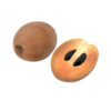 Níspero<br><span class=